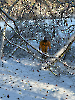 Sonderdienst 4. Gruppe Eisrettung 18.12.2022_14