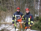 Fohlenkoppel, Freisägen 2013_17