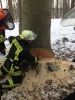 Sägefortbildung 8. FB 2013_3