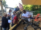 Jahr 2019