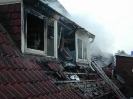 Jahr 2006